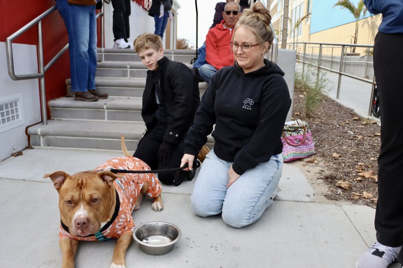 Rugger, left, has a prime seat, and a bowl of water. Owners Mason and Corrine Harpster of Lewes keep a watchful eye on their pooch.